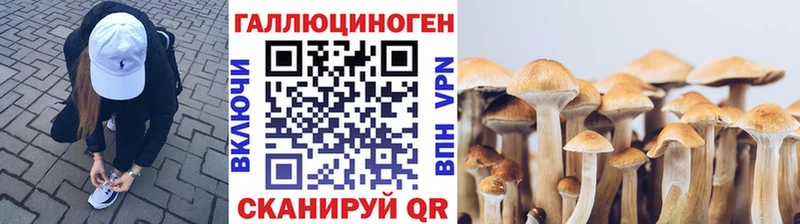 Галлюциногенные грибы Cubensis  Учалы 